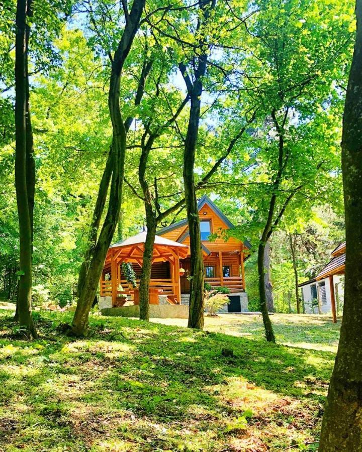Brvnara Vrsac Villa Exterior photo