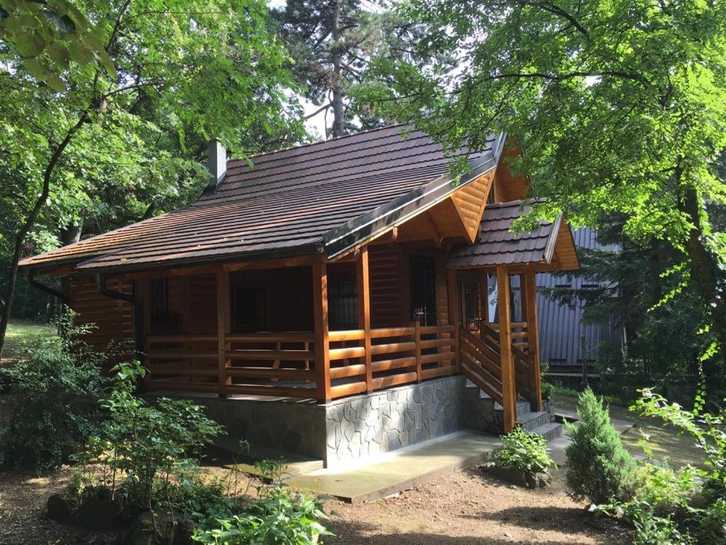 Brvnara Vrsac Villa Exterior photo