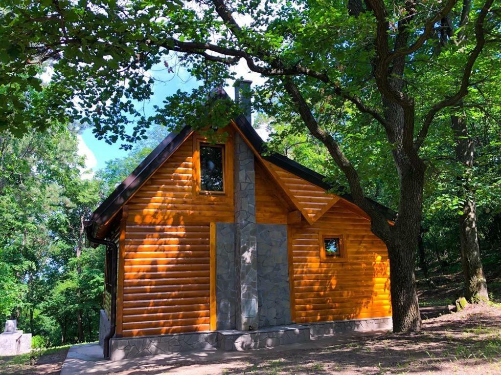 Brvnara Vrsac Villa Exterior photo