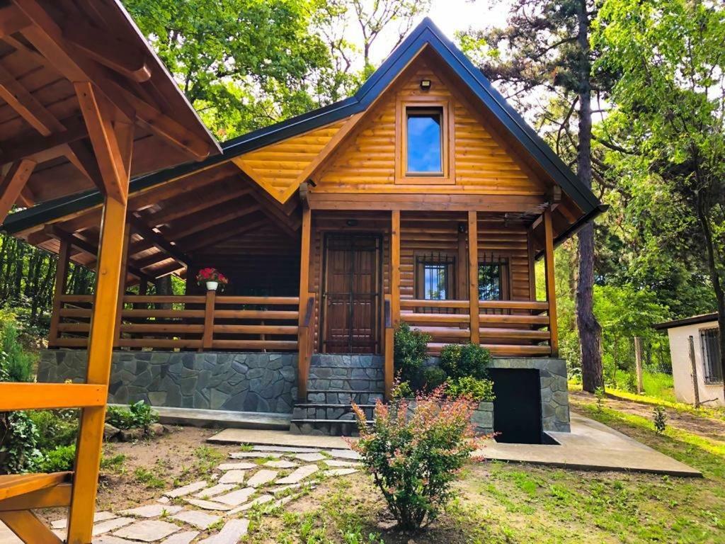 Brvnara Vrsac Villa Exterior photo